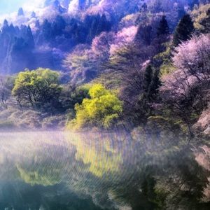 Meet your Posher, Clara